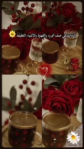 #صباحووووووووووووووووو___💐💐💐💐 