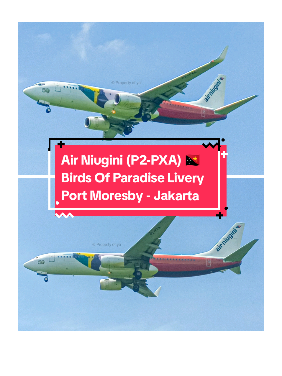 Pertama kali melihat langsung Pesawat Boeing 737-800 Air Niugini (Birds Of Paradise Livery) P2-PXA di Bandara Internasional Soekarno Hatta, Kota Tangerang, Banten setelah terbang dari Port Moresby, Papua Nugini 🐦✈️🇵🇬