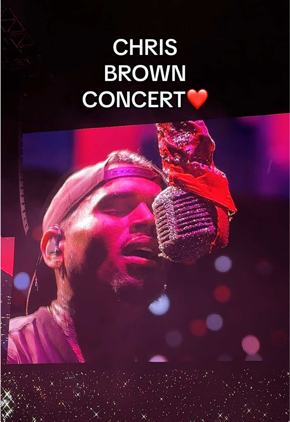 Chris Brown concert in the rain 10/10 experience❤️ #breezybowl #concert 