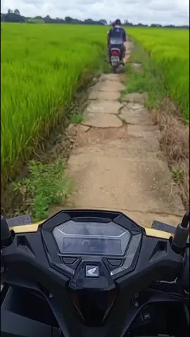 မြို့သူကိုတောခေါ်ရအောင်လည်း...သူကလည်းတောသူ..ကိုယ်ကလည်းတောသားဖစ်နေတာ..😑🥱🥵