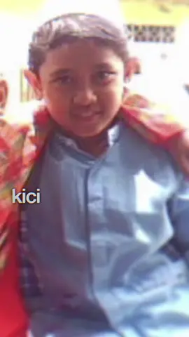 Kucing - kucing