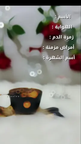 #مدام قهوة☕️😉#قهوتي☕مزاجي☕ #تصويري📷 #متابعة_قلب_تعليق_مشاركة_ #متابعه_ولايك_واكسبلور_احبكم 