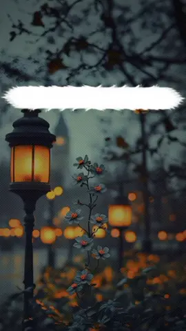 #iloooo #tik_tok #viral #video #foryourpage 