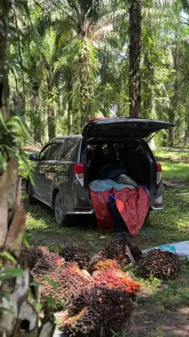 Minggu cerahh #fyppppppppppppppppppppppp 