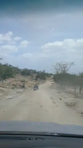 Hapo Kasongo kawa mbuzi wa kafara🤣🤣🤣 #kasongo #ikuluicon #1hz 