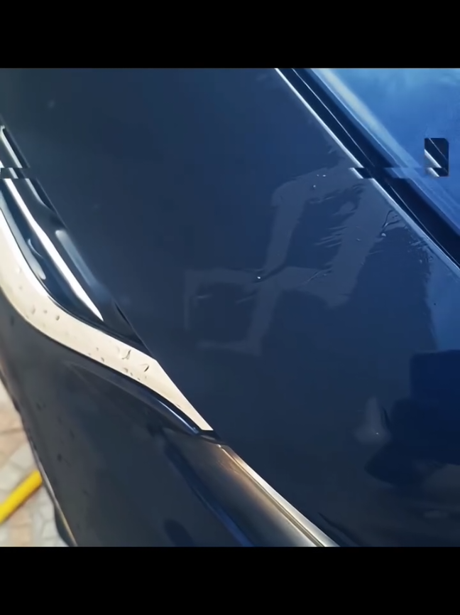 Berserk Car #berserk #ベルセルク #fypシ゚ #noflop #car 