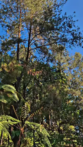 mending std tapi bucin daripada gini sendiri mulu🗿 #orbits #kvb #foryou #bucin #creatorsearchinsights 