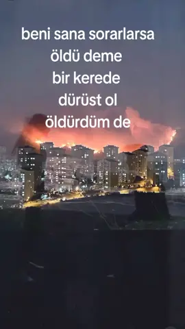 #kesfetteyiz #askontiktok #kral #askreddit #viraltiktok 