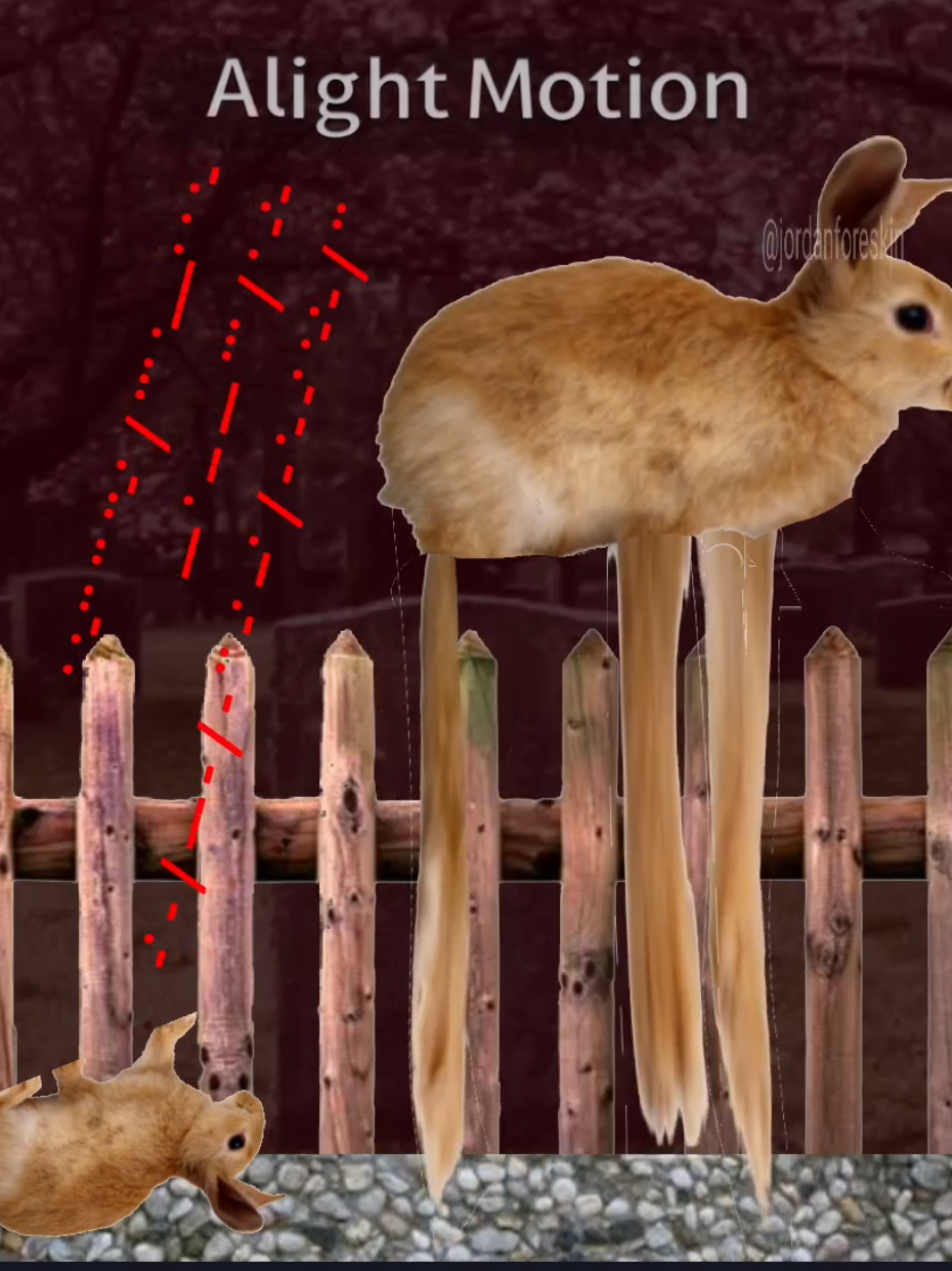 you're just like your mother #bunny #what #fyp #babybunny 