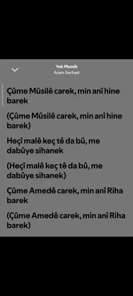 Aram Serhad🫶❤️#SpotifyKûrdî #kûrdî #kurdıshmusic #viral_video #keşfetteyizzz 