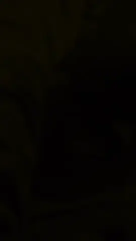 #CapCut #اكس #اكسبور #تصوي 