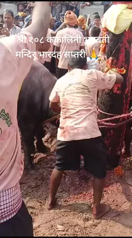 श्री श्री १०८ कंकालिनी भगबती मन्दिर भारदह सप्तरी नेपाल 🙏🙏🙏#🛕🛕🛕🛕🛕🕉️🕉️🕉️🕉️🔱🔱🔱🔱 #🇳🇵🇳🇵🇳🇵🇳🇵 #