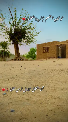 من القبال دا خالف قسمتو وغلبا 💔 #شمالنا_الحبيب🌴💚 #sudanese_tiktok #bbq #الشعر_السوداني #يا_محمد_نصيبك_ابا💔😢 