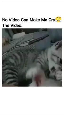 It hurts 🤕  #fyp #foryoupage 