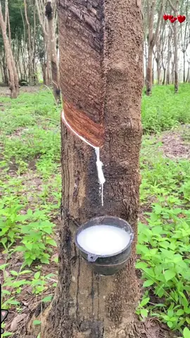 Father left me nothing but a note...  #shortsfeed #ask #askreddit #LearnOnTikTok #reddit #story #relaxing #satisfying