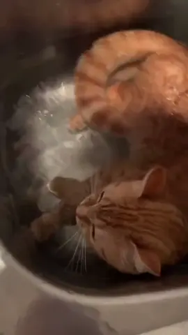 Sambil berendam minum air🤦‍♂️