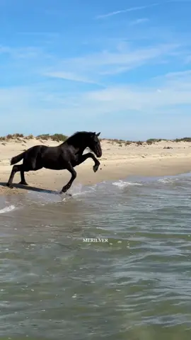 Phélyria et sa première fois à la mer 🥹🥰