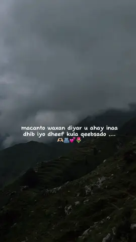 jaceyl🫶🏻💕🫂🌷#fypシ゚viral🖤tiktok☆♡🦋myvideo🤗foryou #viewslaaan🥺💔😭 #foryoupage #fouryou #fypシ゚ 