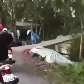 #reel #funny #memesdaily 