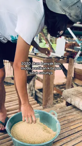 #fyp #peternakmuda #bisnisanakmuda #usahasendiri #idebisniskreatif 