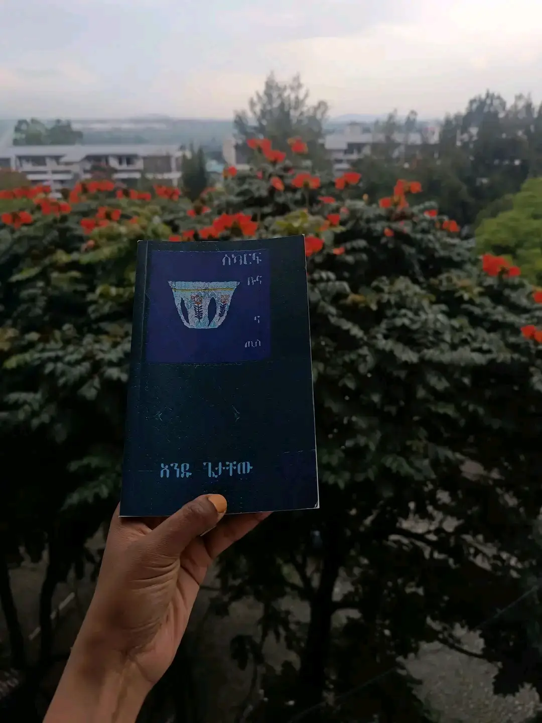 ይሄን ያህል ሰው አልፈልግም  ቅዝቅዝ ያልኩ ነኝ መኖር ብቻውን      የሚጥመኝ . ከማንም ጋ ሳልንጓተት . . 