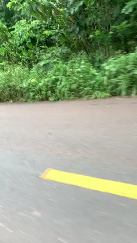 yếu quá 😪#xuhuongtiktok 