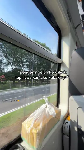 mau ngeluh jg gabakal ngerubah apapun, yaudalah ya #anakpertama #fyp 