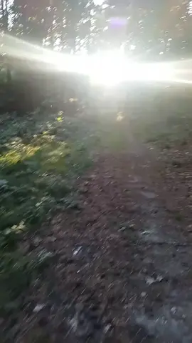 Пока в душах наших горит белый свет!☀️⚡#лес #m8l8tx #сокираперуна #нежеголь #природа 