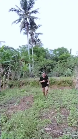 OPEN PO KAOS ANNIVERSARY NPC/NGAPAK PRIDE CILACAP SING KE 2 TAHUN, BUKA PO SAMPE AKHIR NOVEMBER, JIKA MINAT HUBUNGI - WhatsApp 082221313663 - DM @npc_ngapakpridecilacap #ngapakcilacap #ngapakpride  #cilacap24jam #cilacap #fyp 