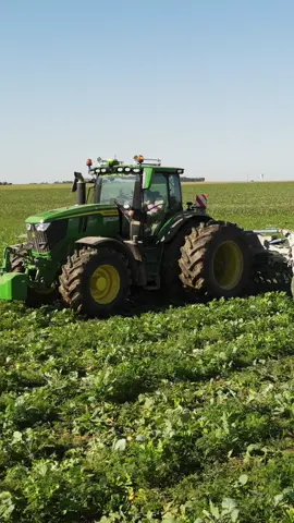 Quelques petites images de l’épandage #agricole #agriculture #fyp #fy #johnderre 