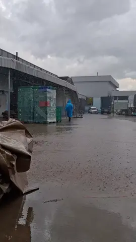 #ထိုင်းရောက်ရွှေမြန်မာ🇲🇲🇲🇲🇲🇲 #အိမ်ပြေးလေး🇲🇲🖤 