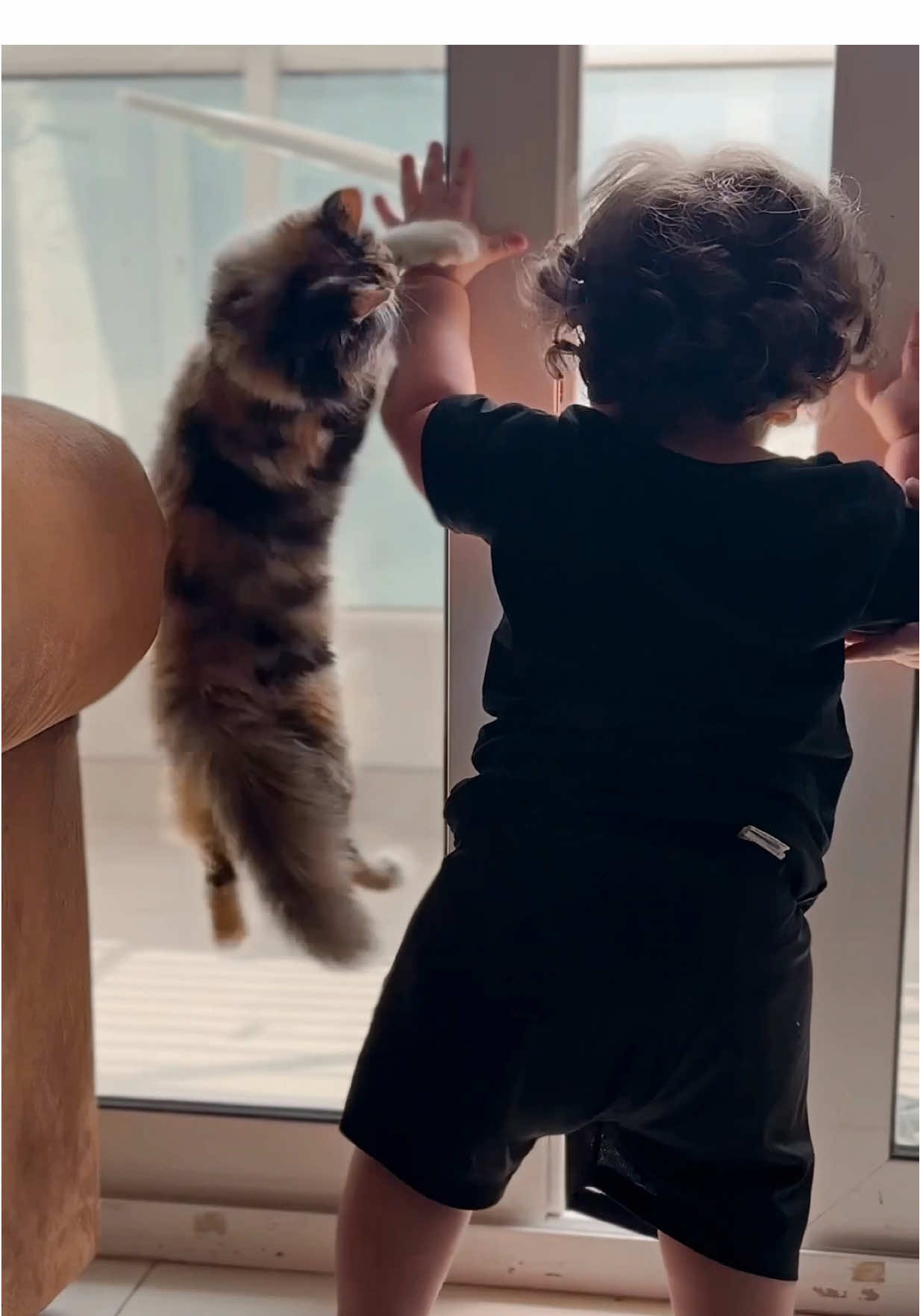 🫠 #baby #cute #cat #fyp #explore 