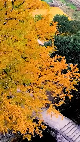 #fyp #nature #beauty #Outdoors #calm 