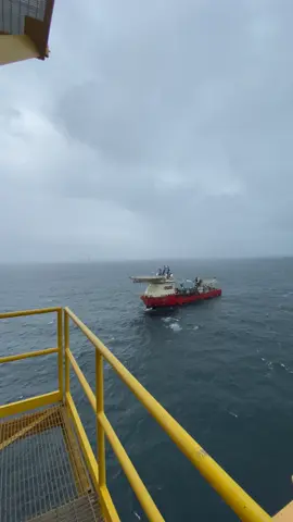 Normal day offshore 🦖🦕