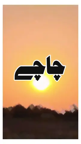 اے سپیشل ویڈیو چاچے وستے  Dear tiktok team don't under review my video   #سنگت_ویڈیو_وائرل_کریسو_آپ_ہیں🥀🌼🙈✨🎇#videoviralitiktok #fouryourpage #tikpakistan #unfrezzmyaccount @TiktokPakistanOfficial @TikTok 