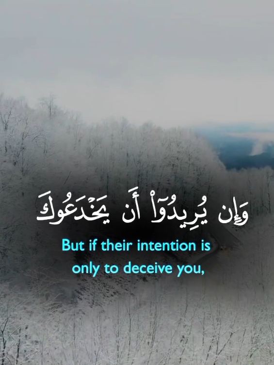 #قران_كريم #قرآن #quran #صلوا_على_رسول_الله #راحة_نفسية 