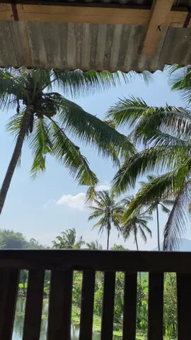 Sambil rebahan🦦 #relaxing#vibes#alam#fyp 