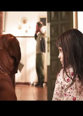 #Fyp#movie#film#Filmerklärung 