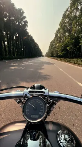 #harleydavidson #breakout2017 #viral #fatboy #roadglide 