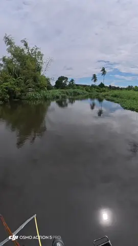 #ปืนยิงปลาช่างฟลุ๊คคลองตัน #ยิงปลาล่อง #ปืนยิงปลา #ฟีดดดシ 