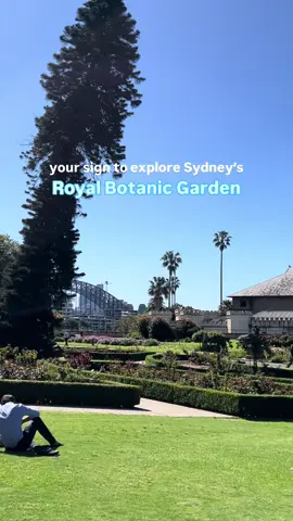 this is your sign to explore Sydney’s Royal Botanic Garden🌴🌵🌱🌳 click the link in bio for our guide on what to do, where to eat and all the must-visit areas🙌🏼💓 #royalbotanicgardensydney #royalbotanicgardens #botanicgarden #sydneyharbour #sydney 