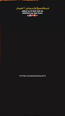 ABBAS (A.S) TARE DAR SA DUNIYAN MA DAR KAHA🫶🏻🫀... #molagaziabbas #sochseyzyaada #azadarehussain #creatorsearchinsights#burhantv 