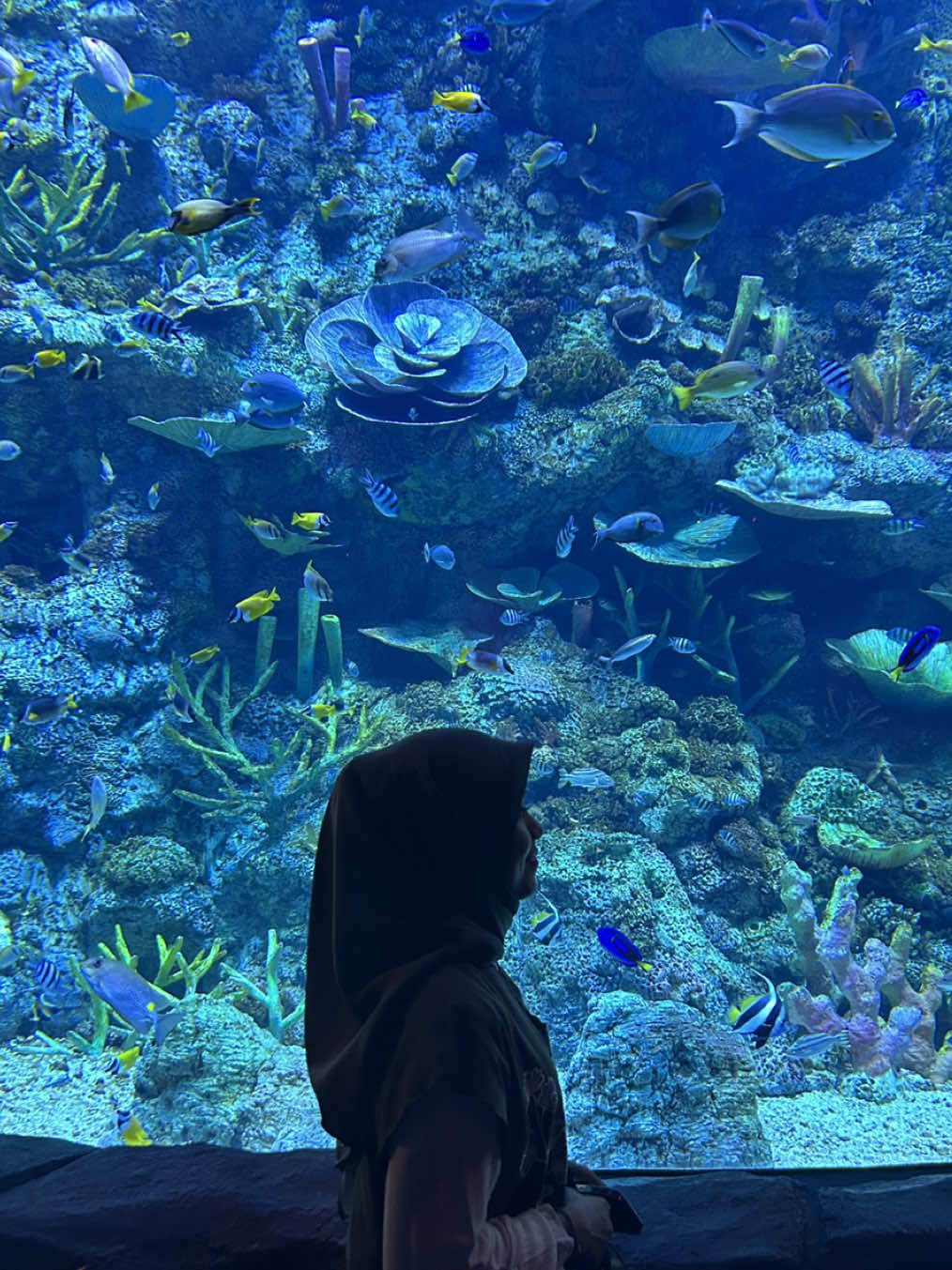 Aquarium date 📍at Bxsea #bxseabintaro #senjasudutkota 