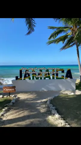 #jamaicantiktok🇯🇲viral #jamaica #Ямайка #ямайка🇯🇲 