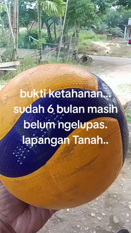 #bola #bolavoly #volley #volly