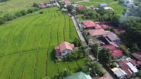Sitio Lwang Bato, Pandi Bulacan #pandibulacan❤  #dronevideo  #buhayprobinsya💖 