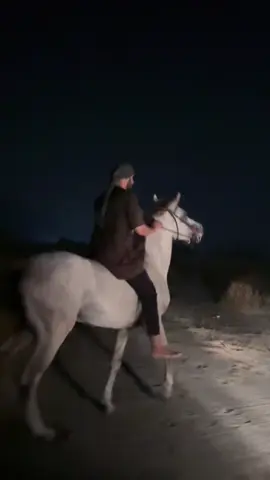 #مواكبه_الثلاث #المغمس #تزليق #مكة_المكرمة #🐎 
