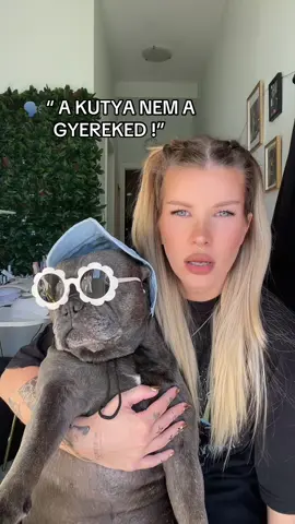 P0fad lapos #frenchiesoftiktok #puppiesoftiktok #fyp #frenchie #foryouu 