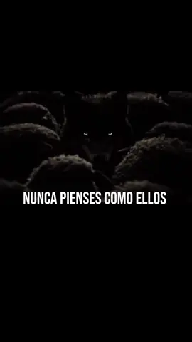 Atrévete a ser diferente. No viniste a este mundo para pensar como todos los demás. Atrévete a ser diferente, a romper el molde y a demostrar que tu grandeza está en no conformarte. #motivation #fyp #exito #paratiiiiiiiiiiiiiiiiiiiiiiiiiiiiiii #inspiracion 