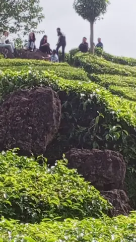 saya tau ini tempat umum,siapa ajh boleh singgah,ya tapi tolong di pake lah etitud nya,crita nya saya lagi duduk disitu sama suami saya sambil foto2,bhkan sesekali saya senderan di batu,krna pegel tulang belakang sya bekas operasi,tiba2 mreka dtang tnpa basa basi & diem di sbelah kami,akhir nya kami pergi krna risih, meskipun ini tempat umum ,ya jngan gtu toh🤣,kami pun klw di tempat kami suka tapi ada orang nya ,ya GK kami samperin ,krna GK enak kalii .INI CERITA SAYA BAGI YANG PAHAM AJAH YA 🫠